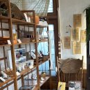 숲속애견샵 이미지