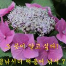 그곳이 알고 싶다! - 만정낚시터 이미지