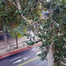 동인여관 이미지