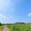 수산리-18 이미지