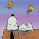 해법학원 이미지