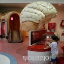 스카이드림투어 이미지