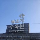 벽초지수목원 봄꽃 튤립축제 후기