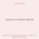 고성청과 | 2026 세계유산축전 일정 안동 제주 가야고분군 총정리