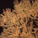 자동기상관측장비 이미지