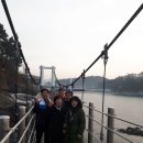 위성초등학교 Daum카페