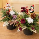 정원사 | 성남 야탑 여수유치원 크리스마스 센터피스 원예수업 후기｜꼬마 정원사들의 만들기 시간