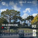 18 | 가을을 만끽했던 서산체력훈련장🍁18홀 라운딩 후기, 즐기면서 치자!⛳(feat.7도~11도 라운딩옷차림)