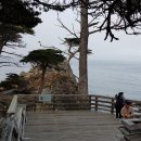 삼호농장4 이미지