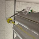 성현수정 | Q. 사랑한다는 말은 왜 하나일까요?