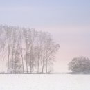 창명당한의원 이미지