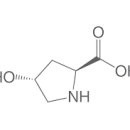 하이드록시프롤린 이미지