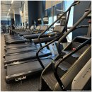 디벨롭짐 이미지