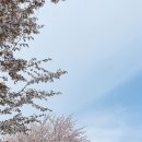 우두동 자전거도로 이미지