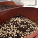 죽전농장 이미지