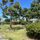 제주통나무휴양펜션 | 🏡[제주도] 제주도가성비독채펜션, 단체·가족여행에 최고, &#34;제주시간여행휴양펜션&#34; 숙박 후기