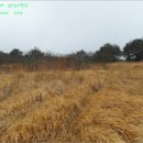 택의목장 이미지