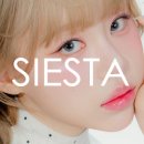 테이스티렌즈
