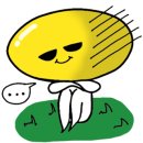 마카롱카페꼬끄시니