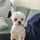 동네개발소 이미지