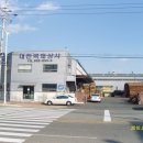 대진목재