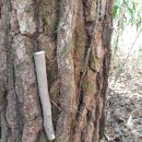 송담1로 이미지