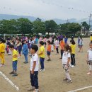 운봉초등학교 이미지