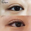 양덕동220 이미지