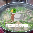 뚱오리 | [부산 강서구]신호동맛집 띠뚱띠뚱오리집, 중복엔 역시 오리백숙!