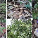 내지농장 이미지