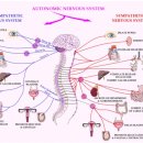김경훈박사의뉴로트레이닝센터서울본부