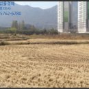 북창원농협(화천지점) 이미지