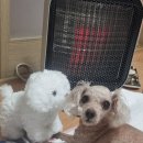 천천농협사거리 | 아무리 바빠도 밥은 꼭- 챙겨 드세요!