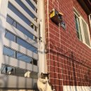 여울그루밍 이미지