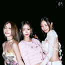 15 bnt뉴스