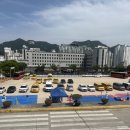 경희대 웅비 태권도 이미지