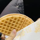 와플대학대전송촌캠퍼스