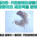 주)푸르네 이미지