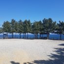 세현공인중개사사무소 이미지