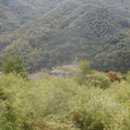 무릉도원면-17 이미지