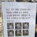 더블당구장 이미지