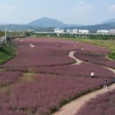 직지사천 이미지