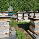 기장군농업기술센타 이미지