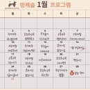 멍더캐슬 이미지