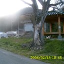 장전마을회관 이미지