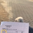 수아동물병원 이미지