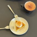 언두 | 제주신상카페 [언두필드] 식물이 가득한 제주 동쪽 구좌읍 카페 겸 식물 가게