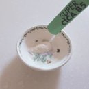 안녕슈퍼 | 속 민감, 이젠 안녕! 먹는 시카 슈퍼 시카 B5 2주 리얼 섭취 후기