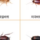 아토즈방역