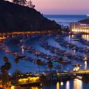 카타리나 스튜디오